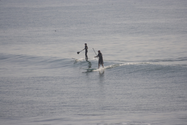  Corsi di paddle surf 